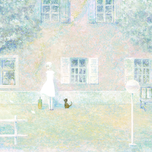 老肥赵邦贺的最新视频
