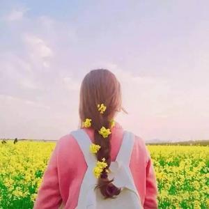 老肥赵邦贺的最新视频
