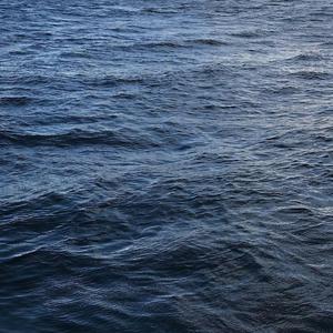 老肥赵邦贺的最新视频
